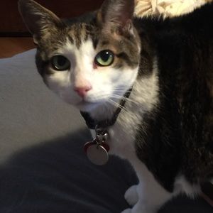 Meet your Posher, Sharon